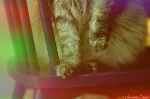 beautyinthehumdrum