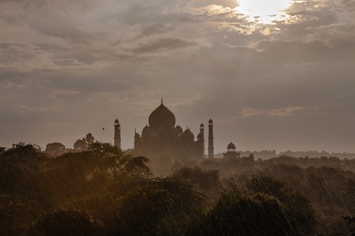 a-witches-brew:divaneee: Taj Mahal seen from nature trail, Agra, India