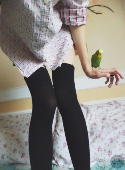 https://macliu815.tumblr.com/post/116204885159