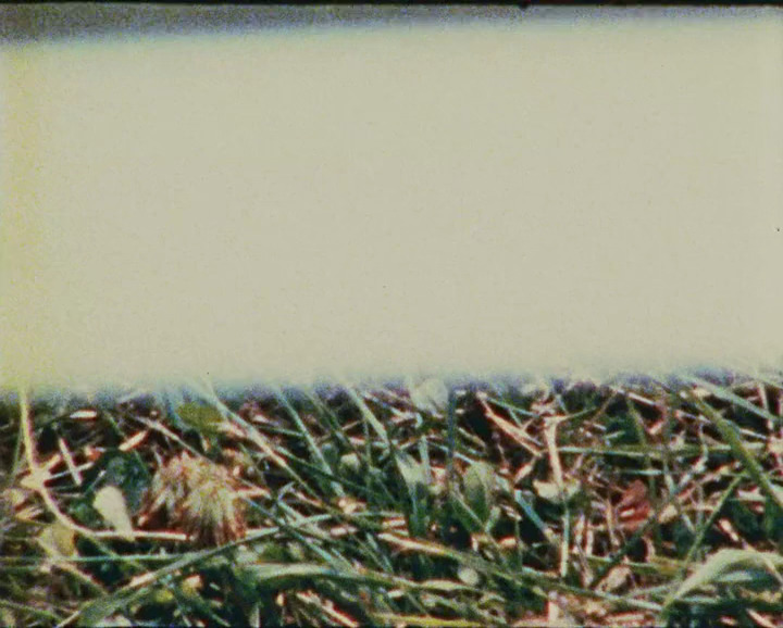 365filmsbyauroranocte:   White Film (Joseph Bernard, 1978)  