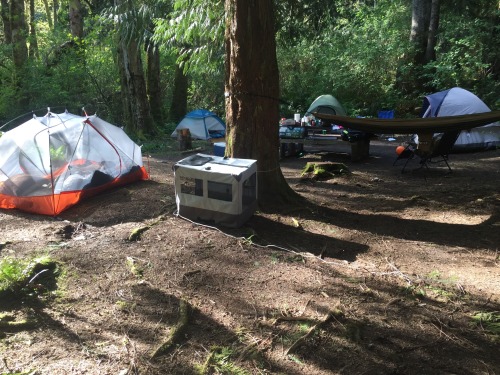 Little bit from camping , hopefully the beginning to a lot of camping this season