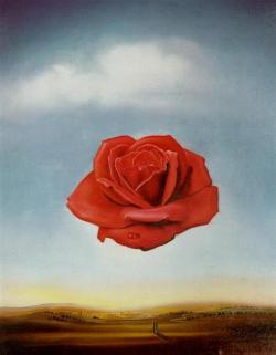 Salvadordali-Art:   Meditative Rose  1958   Salvador Dali   