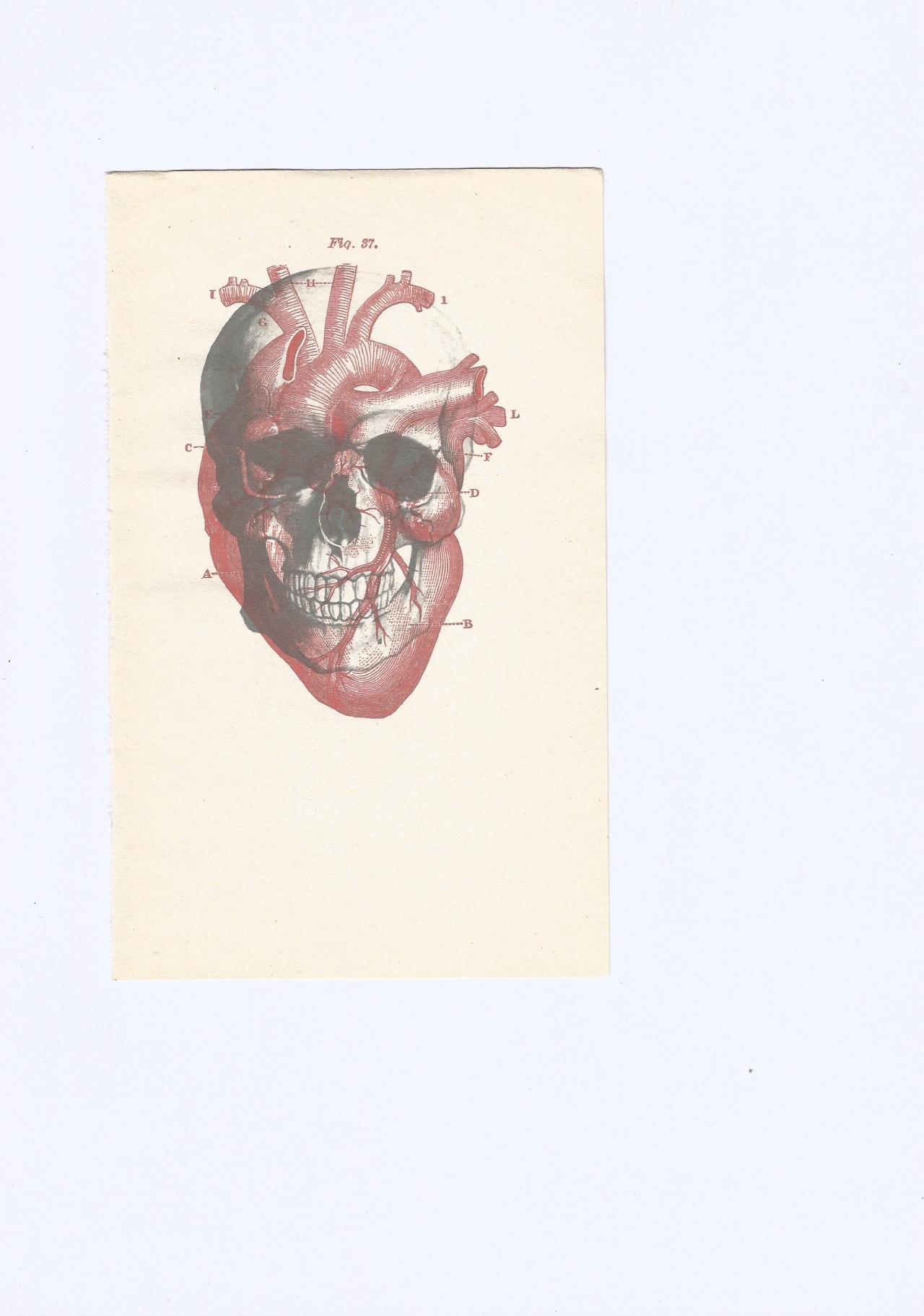 enolamai:  Sin In My Heart (8/8) 8” x 10” C-type prints 2014 @iambsebastian 
