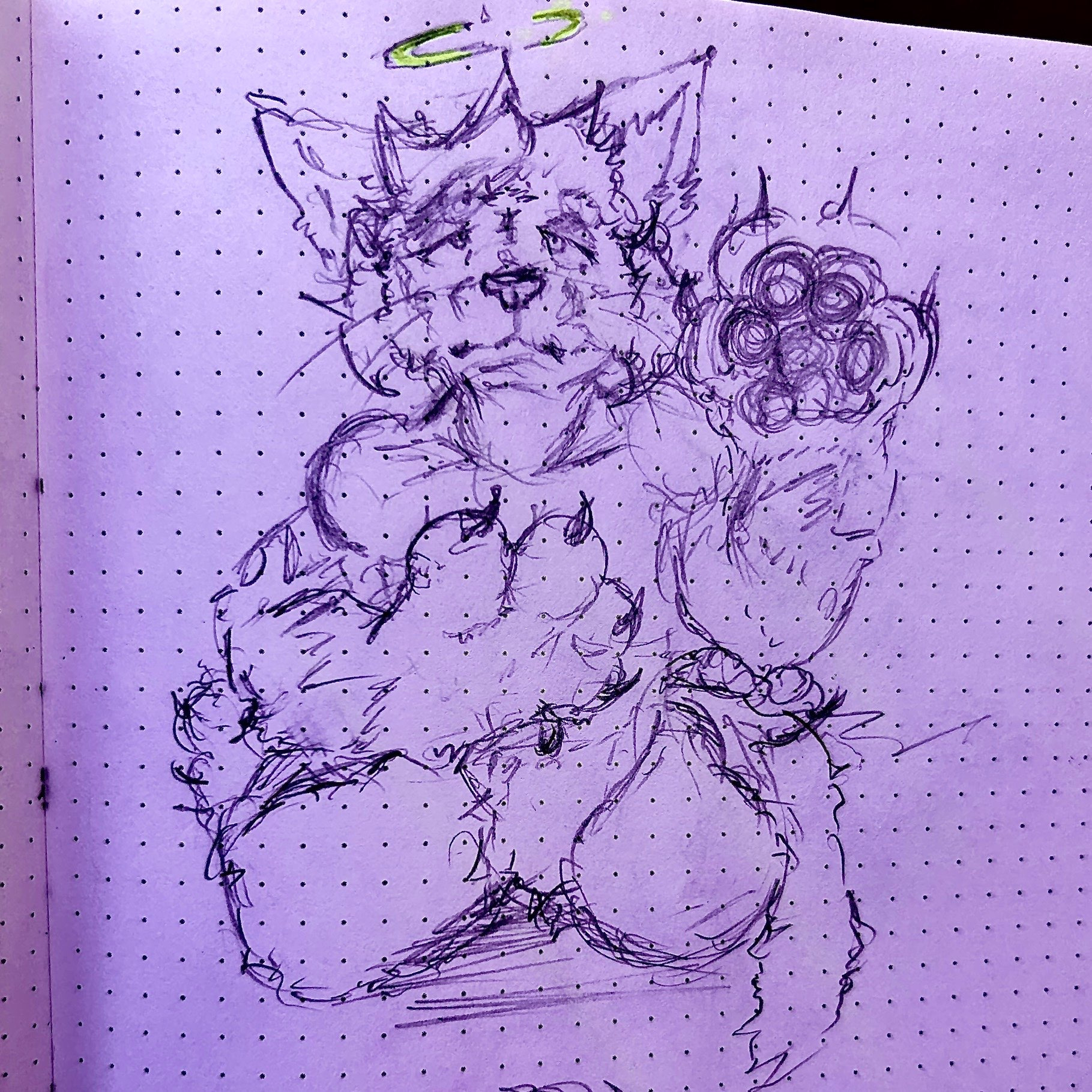 Sketch 5