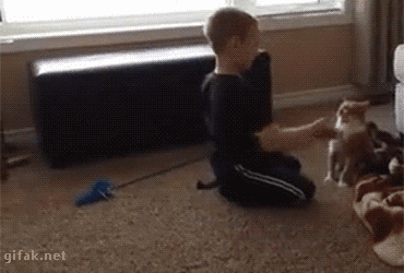 betarev3:  giflounge:  Every action has a reaction  That’ll learn ya you little