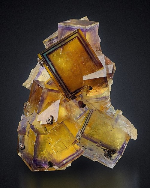 bijoux-et-mineraux:Fluorite with Chalcopyrite - Bergmännisch Glück Mine, Frohnau, Erzgebirge, Saxony, Germany