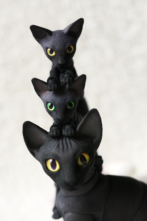comradewodka:  chariteatime:  mermeanie:  these bjd kitties by Oleum are fuckin’ ridikkulus! photos by Oso_Polar EDIT: the artist has ordering info on her LJ here:  http://oleum-13.livejournal.com/120104.html  Holy crap.  usually bjds super creep me