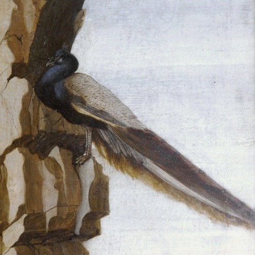 therepublicofletters:Adoration of the Magi, Sandro Botticelli, 1475-1476 ~ Details (1/∞)