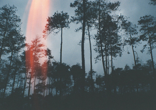 the-host:  sem título by josh, on Flickr.