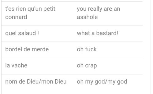 languagesloser:some french swear words and phrases. can be useful if someone asks u to say somethi