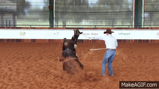 goodhorsekeeping:  sabino-spots:  iracebarrels:  themotherfuckingclickerkid:  Today