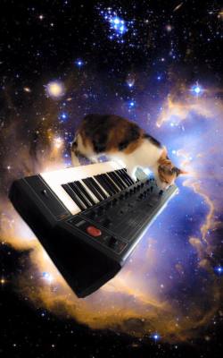 CATS ON SYNTHESIZERS IN SPACE