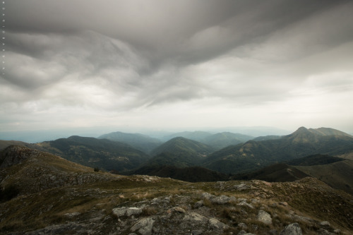 Peaceful Kingdom | A day on the Top