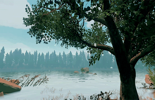 boozerman:Firewatch (2016)