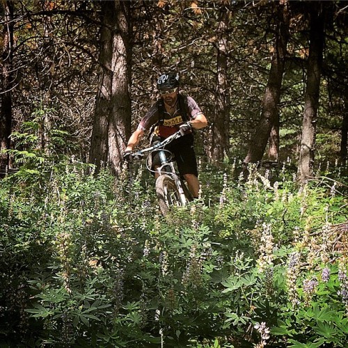 stumptownrider: Unreal singletrack today #mtb #mountainbiking #rideon #riding #canfieldbrothers #yel