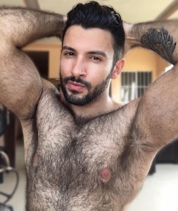 hairy-italian-stud: beardburnme2:   Josiivangomes instagram   Perfect  