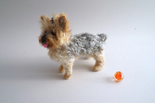  A needle felted Yorkie.  Have a great weekend!