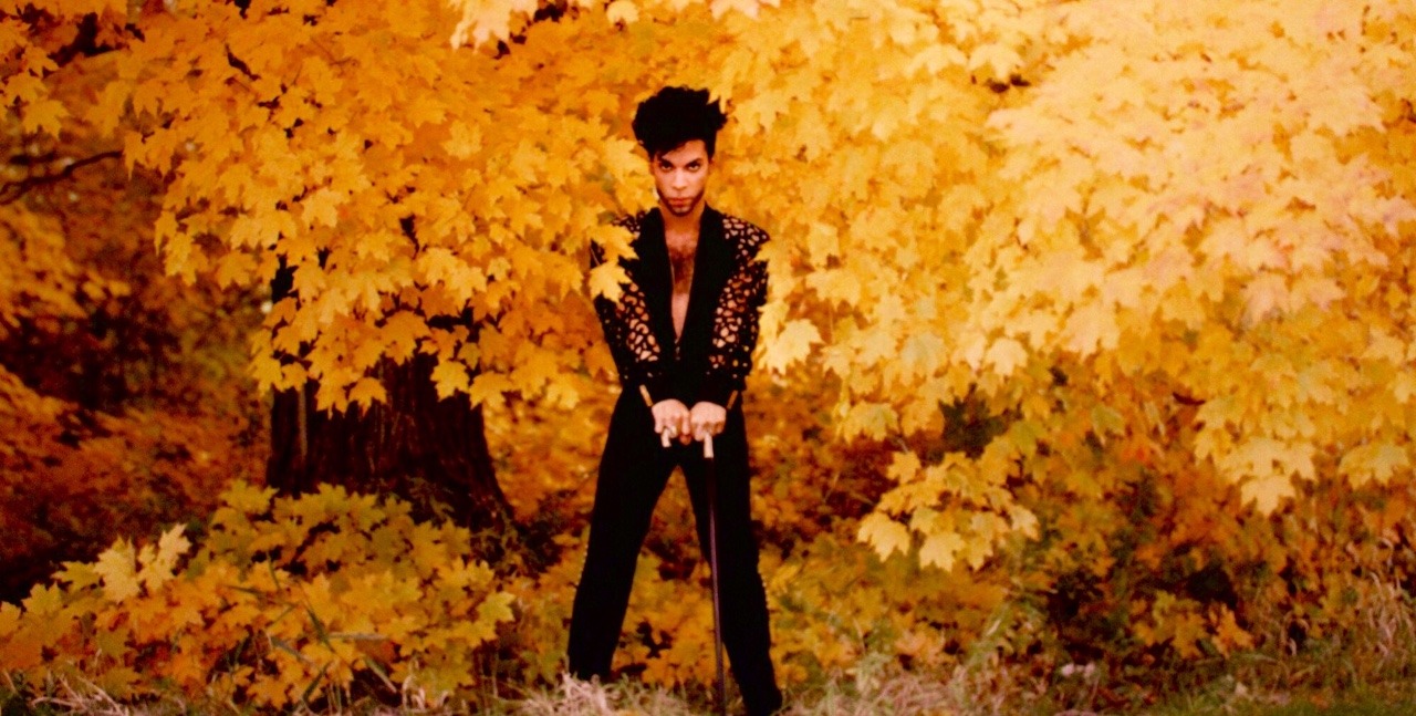 xtechnicolorclimax: Fall is in full swing 🍂🍃🍁🌿🍂
