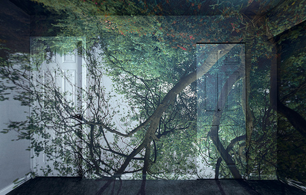 foxmouth:  Wild Flowers in Room, 2012Tree in Room, 2012   by James Nizam  