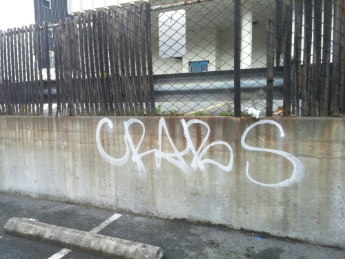 A few Seattle vandalism faves. ‘Ol shitbarf has some competition. Is stinky vying for the crow