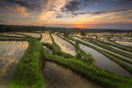 wanderologie-:  Bali, Indonesia