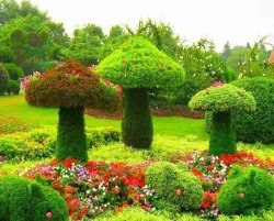 psychedelicatessenn:  oh my god im going to plant a bush just so i can do this. and then play around in em and be a fucking fairy look at these giant as mushrooms look 