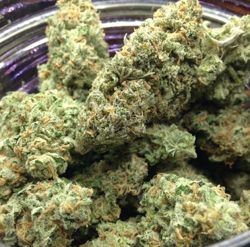 bluntrollerandsmoker:  afwreck