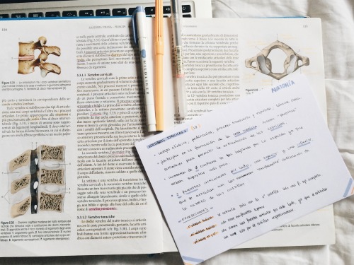 [11.18.17: Anatomy Study Session]
