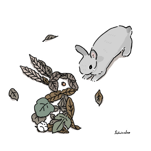 schinako: Day 25Rabbit of fallen leaves