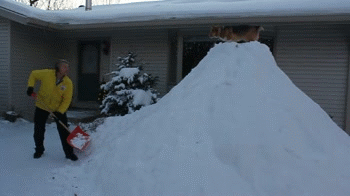 corgidogsorg:  Not sure how safe this is, but it looks like the Corgi is enjoying it a lot.