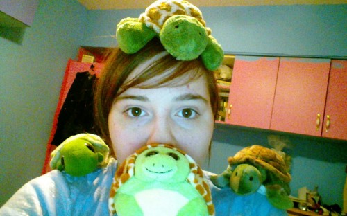 Today Seems To Be Plushie Selfie Day Unfortunately I Dnt Have Any Pokemon But I Have Lots Of Turtles.