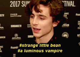 searbao:Timothée Chalamet according to Tumblr tags