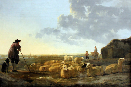 Herd of Sheep at Pasture, Aelbert Cuyp, ca. 1645