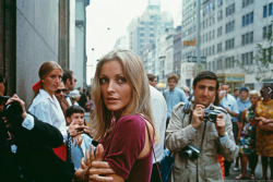 chaptertwo-thepacnw:sharon tate in nyc.  |1967|