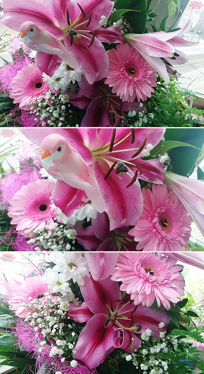 kittenprincesspolly:this is the stunningly beautiful bouqet daddy bought me yesterday
