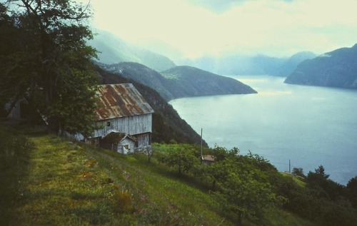 Midsommerdagsvandring over Storfjorden, i nærheten av Liabygda, Møre og Romsdal, 1984.Thought it app