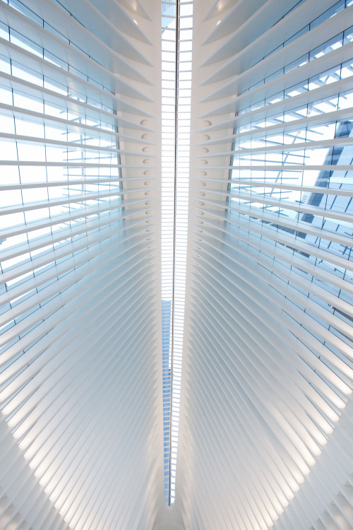 iheartmyart: Architect Santiago Calatrava’s World Trade Center Transportation Hub aka the