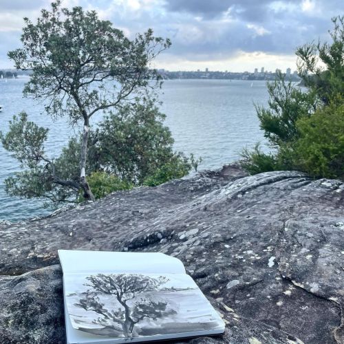 Friday afternoon ink drawing overlooking Sydney harbour. #inkdrawing #sydneyharbour #australianartis