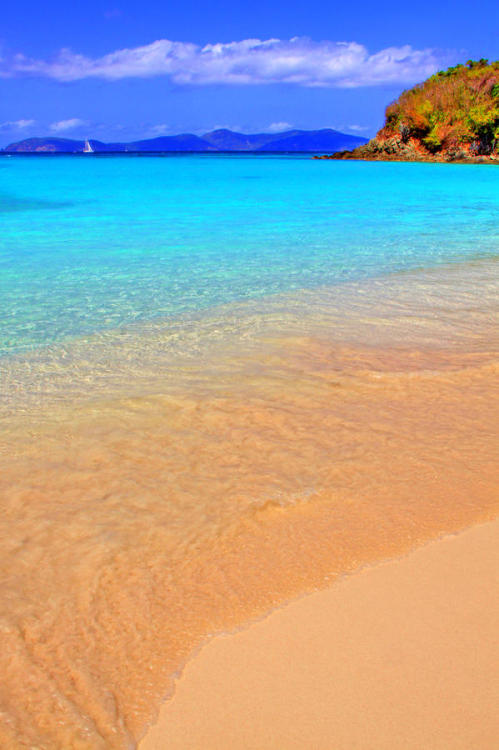 nature-planet:  Beachside by Scott Mahon