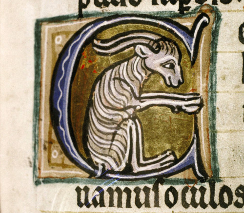 initial C Psalter, Canterbury ca. 1210-1220.Bodleian Library, MS. Ashmole 1525, fol. 110r