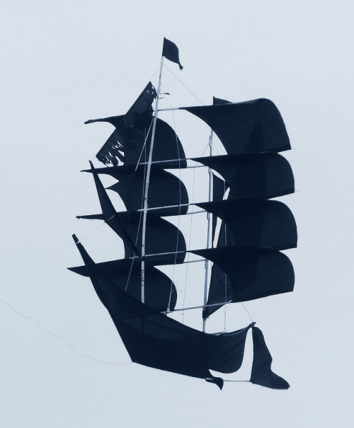 Sail Kite by Steve Taylor 