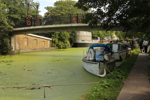 Along the Paddington Canal. London, August 2019 © JB