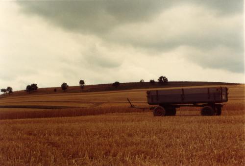 andreas-nolte:Eifel (Aug 1983) NoltAfoto  Bildarchiv