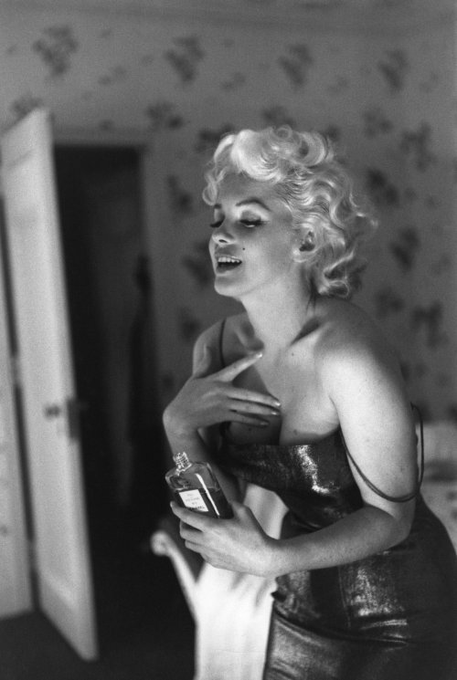 twixnmix:Marilyn Monroe photographed by Ed Feingersh at the Ambassador Hotel preparing to attend the Broadway premiere of Tennessee Williams’ “Cat on a Hot Tin Roof” at the Morosco Theater. March 24,1955.  My idol #beauty#allwoman 