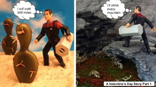 action-figures-in-action:Chakotay is on the search for some flowers for Valentine’s Day. But it does