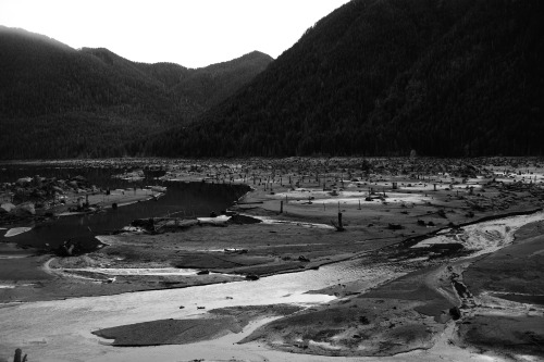 Ghost Town - Lake Cushman at low water