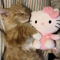 nendroidzz:so are you the cat or the hello kitty plush in the relationship?
