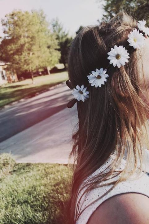 lnquiry:  I love daisies ♥ 