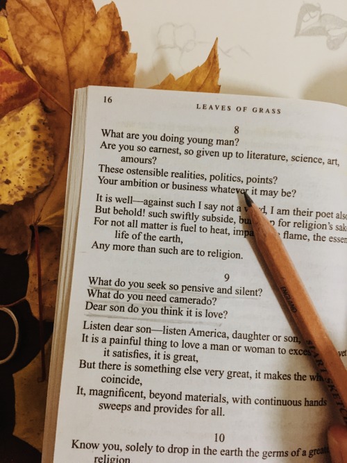 liones-s - These are my poems. I stand by them