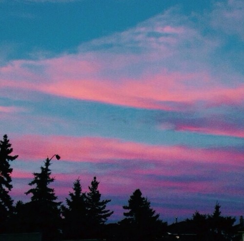 passivites:pink skies on my camera roll //ig: emojinalbabe